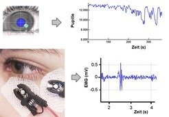 Die Erfassung des Auges mit einer Hochgeschwindigkeitskamera liefert Informationen zu Blickrichtung und Pupillegröße (obere Abbildung). Elektromyographie (EMG) erfasst den Schreckreflex auf ein lautes Geräusch (untere Abbildung).