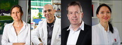 Dr. Elisabeth Binder, Dr. Alon Chen, Dr. Chris Turck, Dr. Angelika Erhardt-Lehmann (v.l.n.r.)