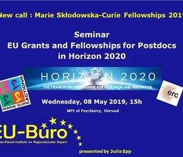EU Grants and Fellowships for Post-docs in Horizon 2020