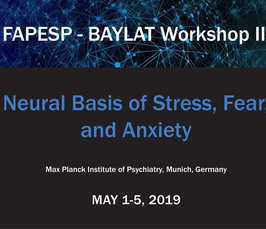 Neural Basis of Stress, Fear and Anxiety