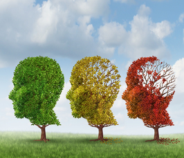 Epigenetic strategies to treat Alzheimer's disease Epigenetic strategies to treat Alzheimer's disease