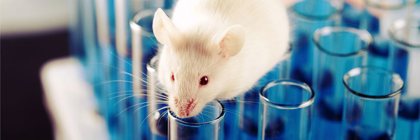Behavior and Physiology Behavior and Physiology