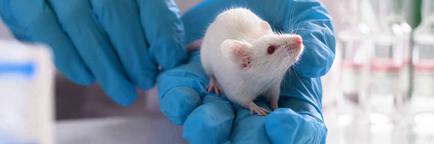 Genetically Engineered Mouse Models Genetically Engineered Mouse Models