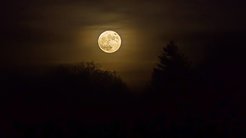 Many people report sleeplessness around the time of full moon. The question whether or not there is a scientific measurable lunar influence still remains elusive.
