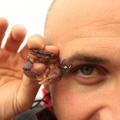 Alessio Attardo - Ein Direktimport aus der Bay Area in Kalifornien (USA).