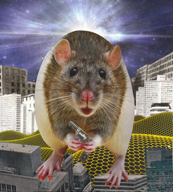 Rodents serve as powerful model organisms for the research of stress related diseases such as anxiety.