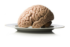 You can´t study on a full stomach! Is this really true?