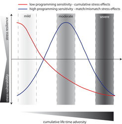 Effects of different degrees of life time adversity on stress vulnerability and resilience in adulthood in dependence of genetic predisposition.
An individual with a lower sensitivity to its early environment (red line) would therefore benefit most from life histories with a mild overall adversity, while each experienced adverse life event would increase subsequent stress vulnerability and disease probability (e.a. cumulative stress hypothesis). On the other hand, an individual with a high sensitivity to environmental stimuli would adapt its physiology to this kind of environment (match/mismatch hypothesis). Here, a moderate life time adversity would be most beneficial, as this would increase the resilience to subsequent mild or moderate stressors. Exposure to severe adversity would in all cases increase stress vulnerability and disease risk. Our data indicate that such different patterns (red vs. blue) might be a result of different genetic polymorphisms, where one allele favours low sensitivity (red), while the other allele favours a high sensitivity (blue). Therefore, each genotype can have beneficial as well as detrimental effects on stress vulnerability and stress-related disorders, depending on the degree of cumulative life time adversity.