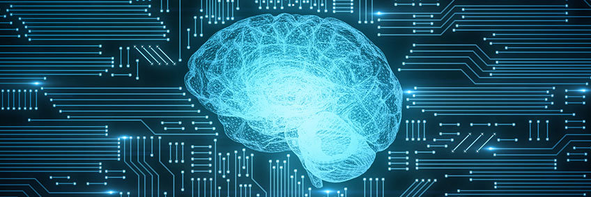 graphical picture of a brain