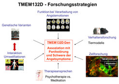 © MPI Psychiatry/ A. Erhardt