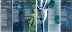 Besuchen Sie online unsere Ausstellung