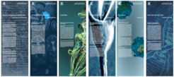 Besuchen Sie online unsere Ausstellung