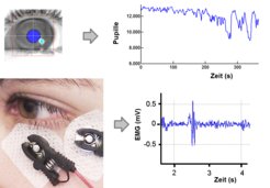 Die Erfassung des Auges mit einer Hochgeschwindigkeitskamera liefert Informationen zu Blickrichtung und Pupillegröße (obere Abbildung). Elektromyographie (EMG) erfasst den Schreckreflex auf ein lautes Geräusch (untere Abbildung).