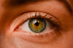 The pupil of a test person is recorded extremely precisely