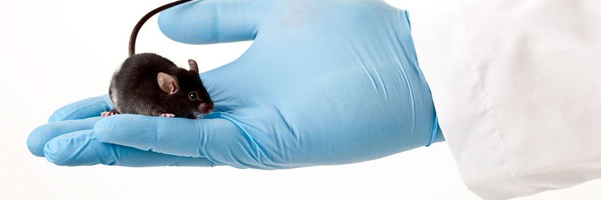 Preclinical Center Preclinical Center