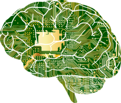 In a current stress situation, different regions in the brain interact with each other. Their interaction changes in the course of the stress response, a dynamic process takes place.