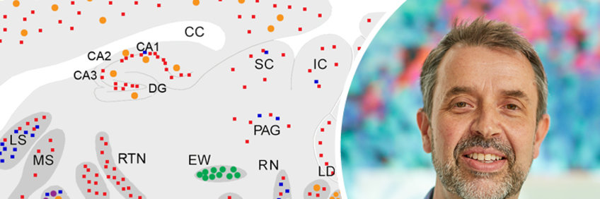 Research Group Molecular Neurogenetics Research Group Molecular Neurogenetics