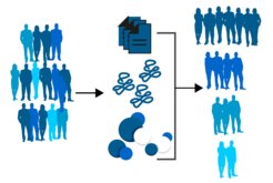 In the study, biological data was gathered from participants. Based on different patterns in the data, the researchers grouped participants into four clusters.