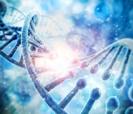 ONLINE-VERANSTALTUNG MIT NEUEM THEMA: Gestresste Gene - Genetik und Epigenetik psychiatrischer Erkrankungen 