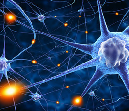Erstes MPI-Symposium für HausärztInnen: Psychische Erkrankungen erkennen und behandeln Erstes MPI-Symposium für HausärztInnen: Psychische Erkrankungen erkennen und behandeln