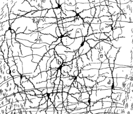 Brain circuits involved in novel antidepressant strategies Brain circuits involved in novel antidepressant strategies