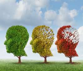 Epigenetic strategies to treat Alzheimer's disease 